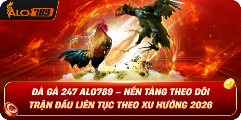 da-ga-247-alo789-nen-tang-theo-doi-tran-dau-lien-tuc-theo-xu-huong-2026