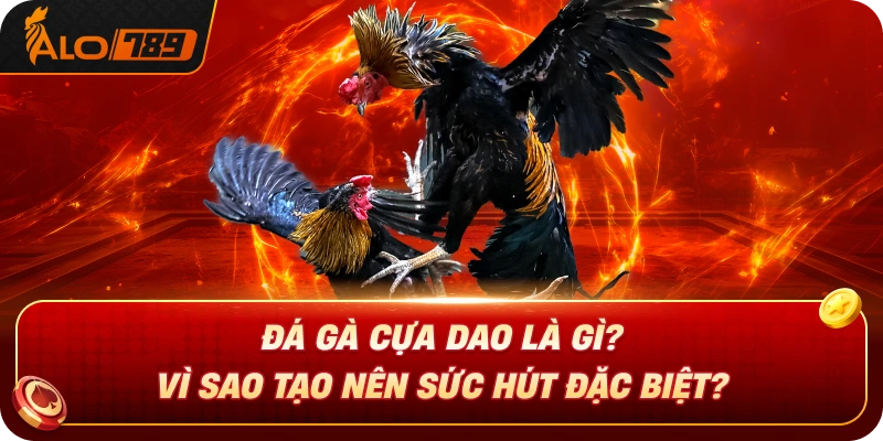 da-ga-cua-dao-la-gi-vi-sao-tao-nen-suc-hut-dac-biet