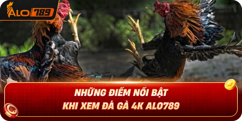 nhung-diem-noi-bat-khi-xem-da-ga-4k-alo789